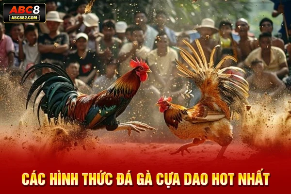 Các hình thức đá gà cựa dao hot nhất