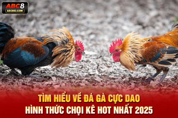 đá gà cựa dao