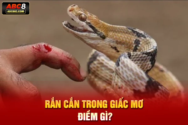 Rắn cắn trong giấc mơ điềm gì?