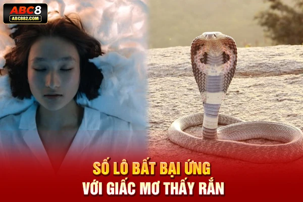 Số lô bất bại ứng với giấc mơ thấy rắn  