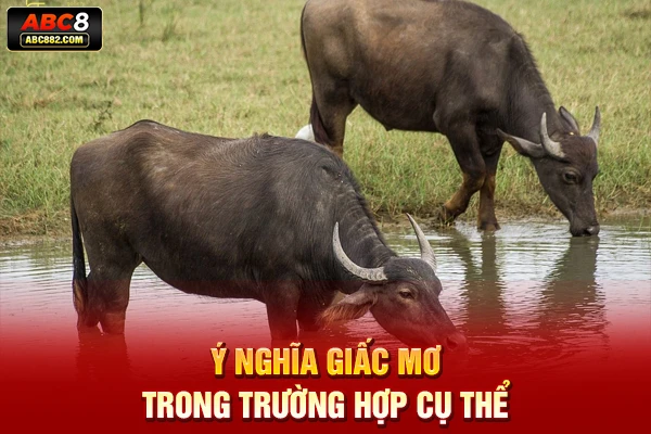 Ý nghĩa giấc mơ trong trường hợp cụ thể